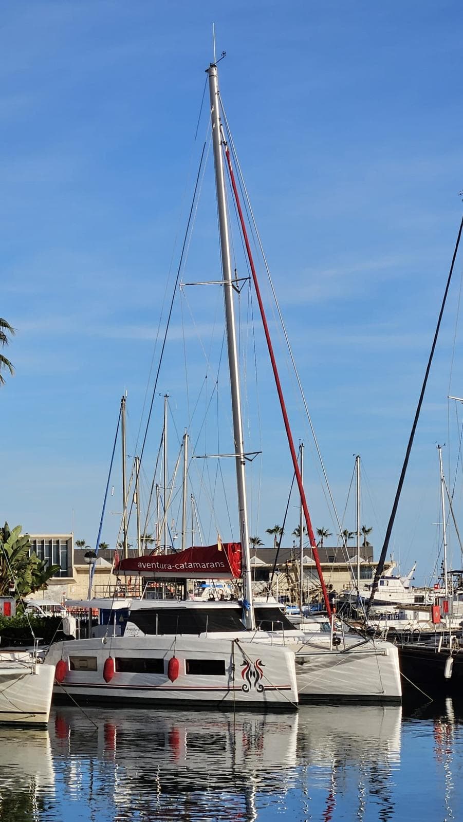 Aventura 37 Solera — imagen 4