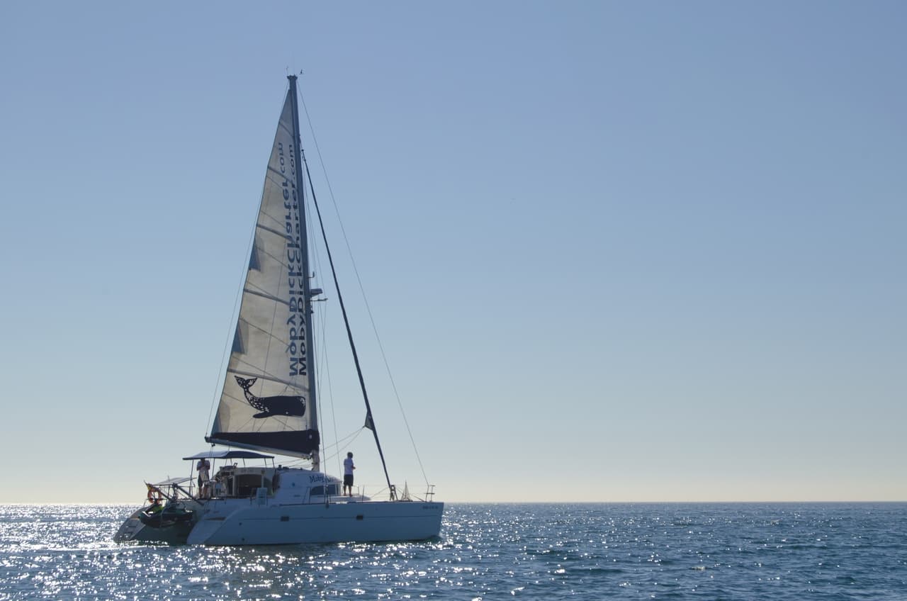 Lagoon 380 - "Mobydick" — imagen 3